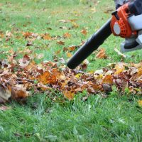 Worker cleaning falling leaves in autumn park. Man using leaf blower for cleaning autumn leaves. Autumn season. Park cleaning service.